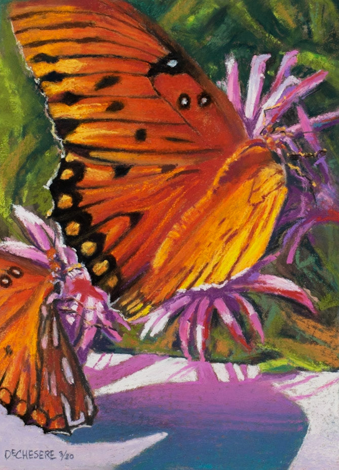 Butterflies - Pastel