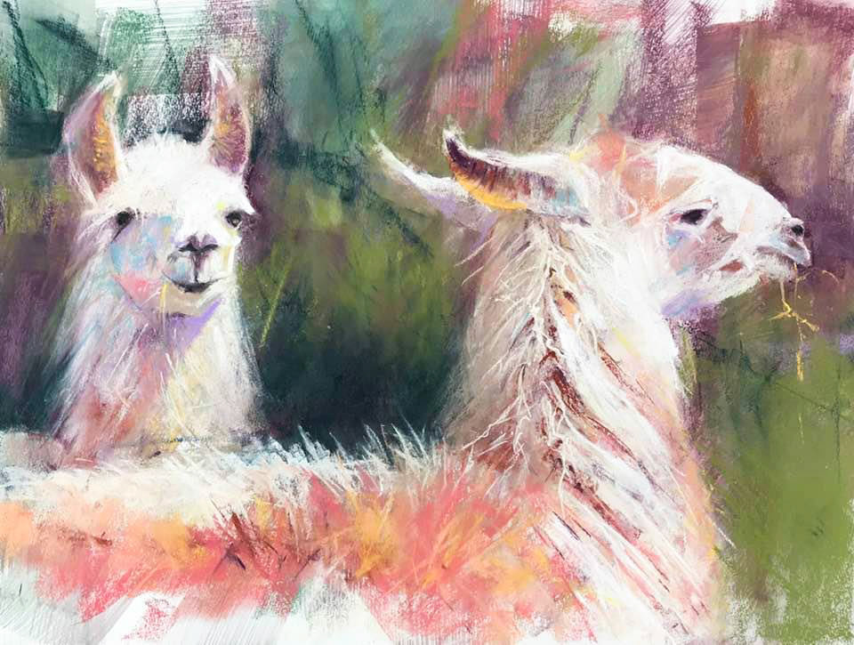 Seussian Llamas - Pastel