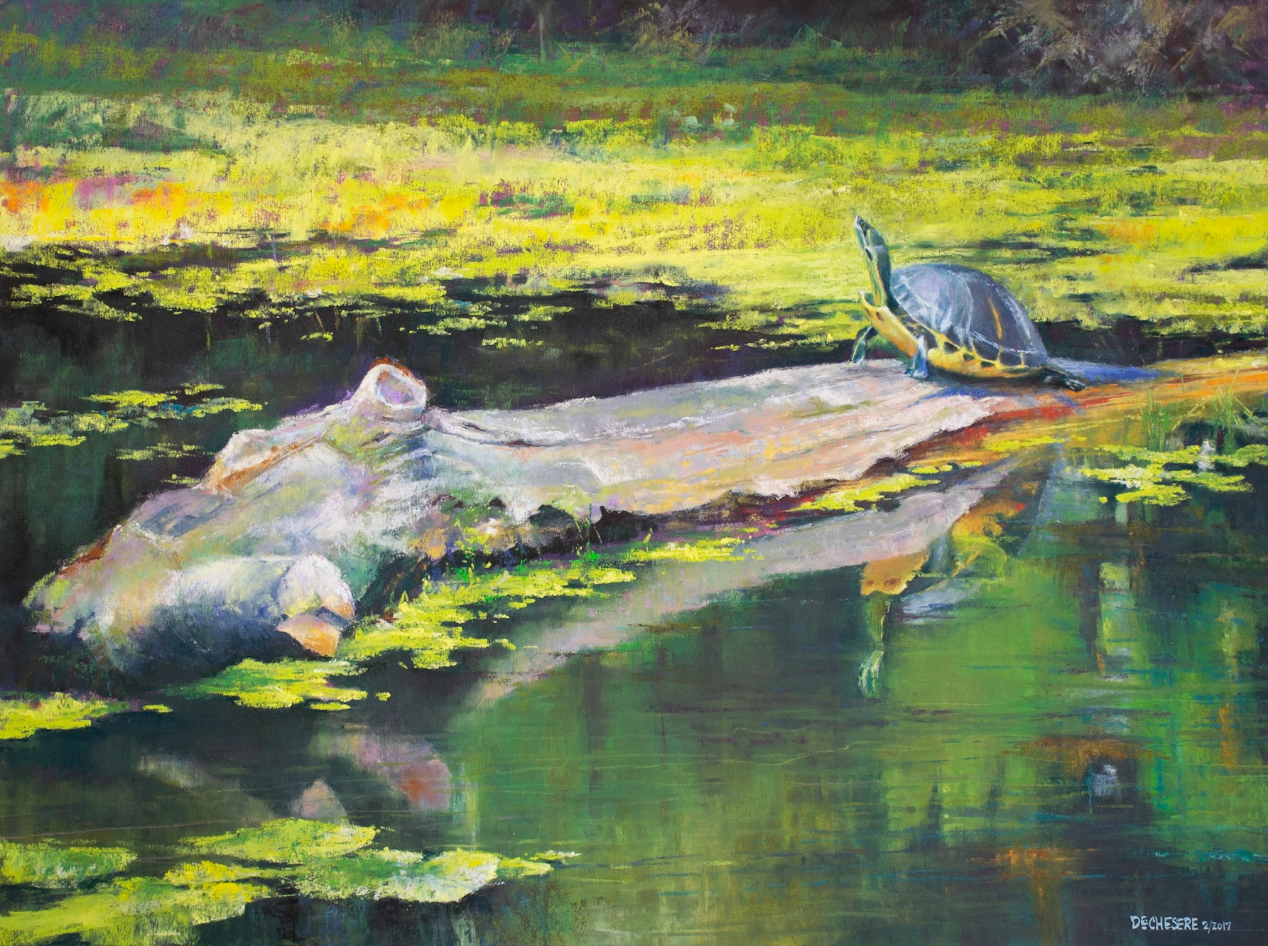 Sun Salutation - Pastel