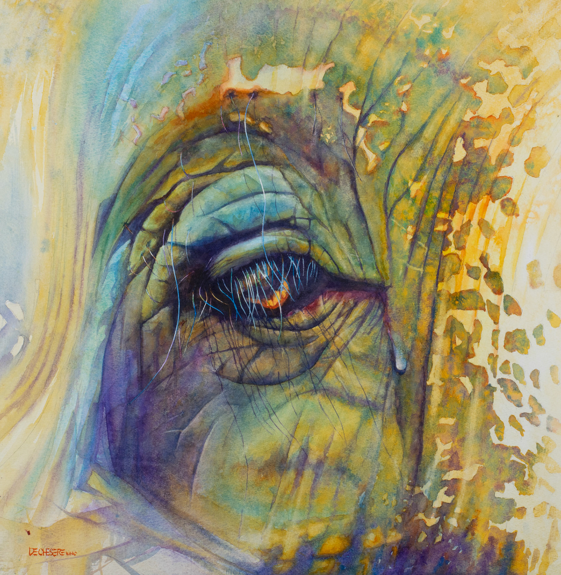 A Tear for the Vanishing