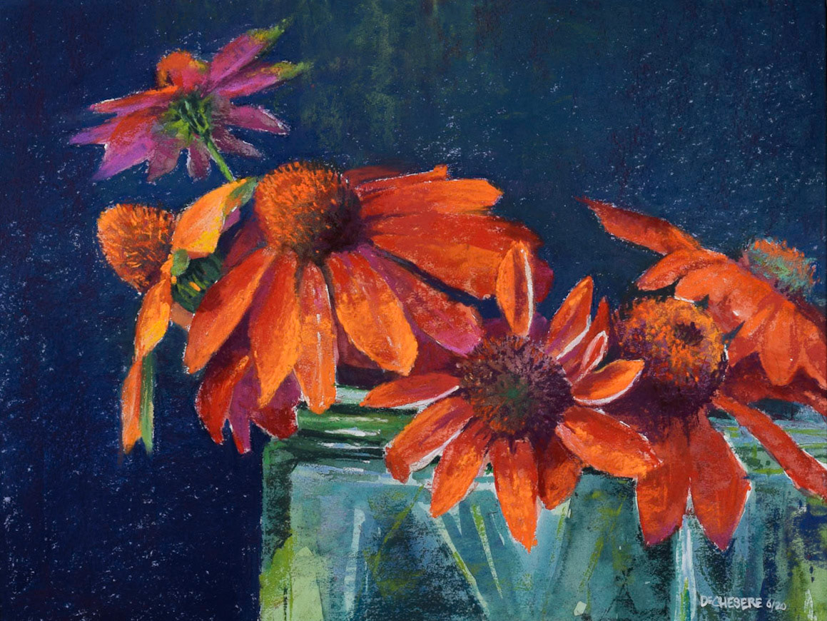 Coneflower Melange - Pastel