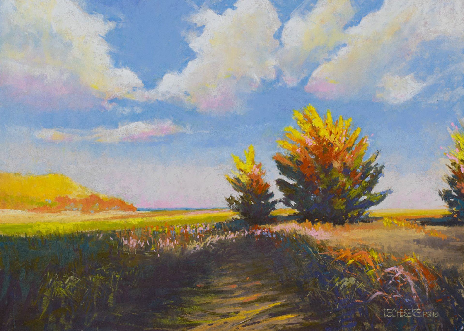 Masonboro Gold - Pastel
