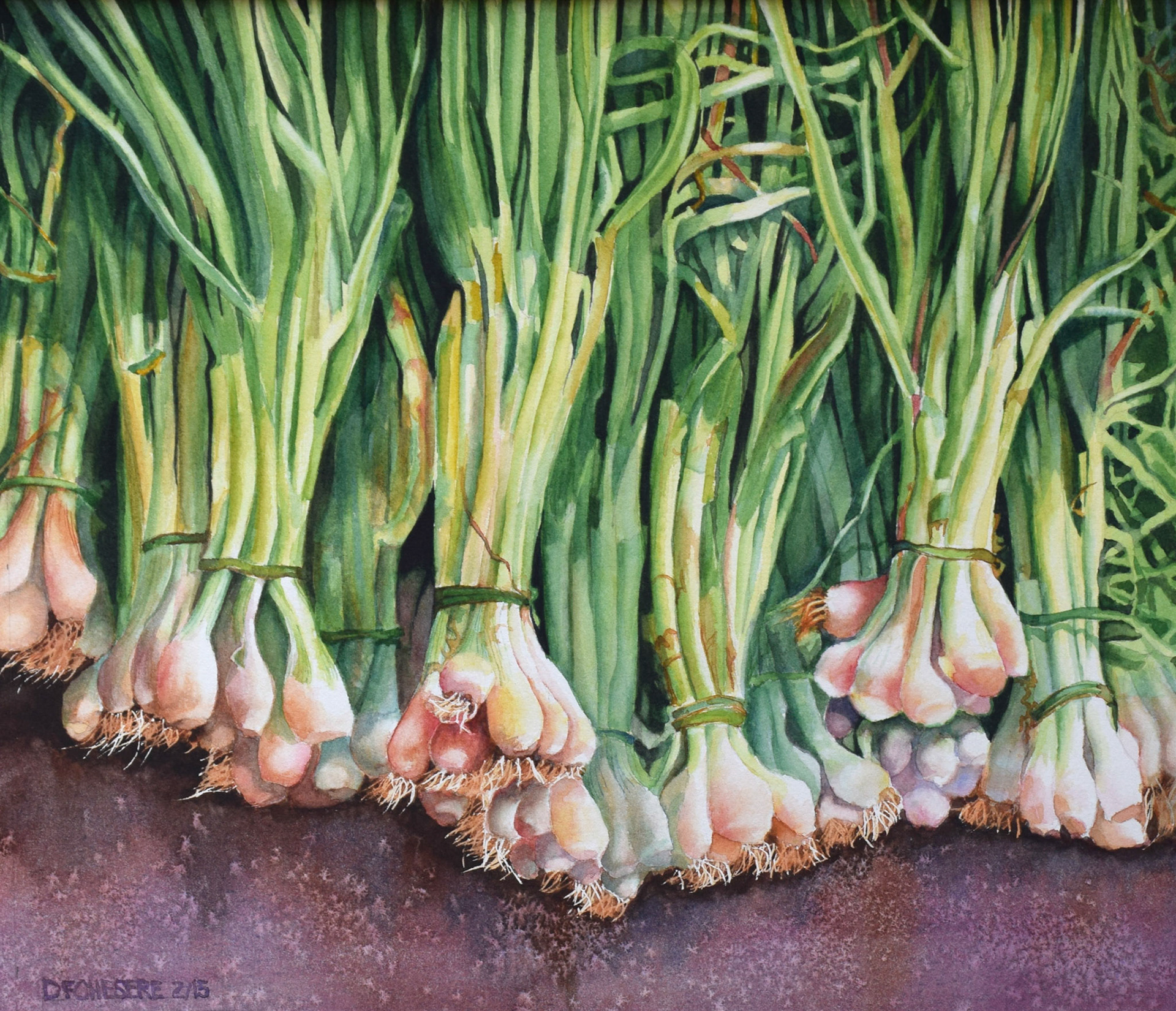 Las Cebollas - Watercolor