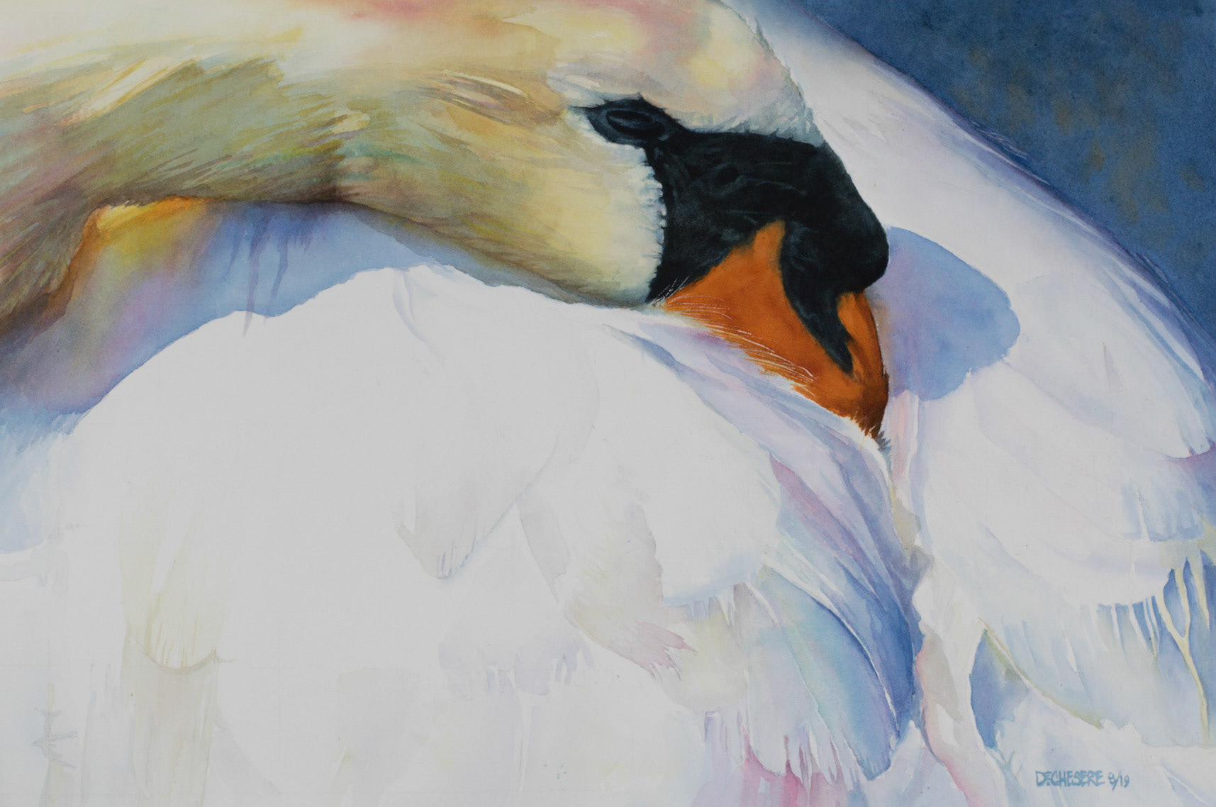 Morning Nap - Watercolor