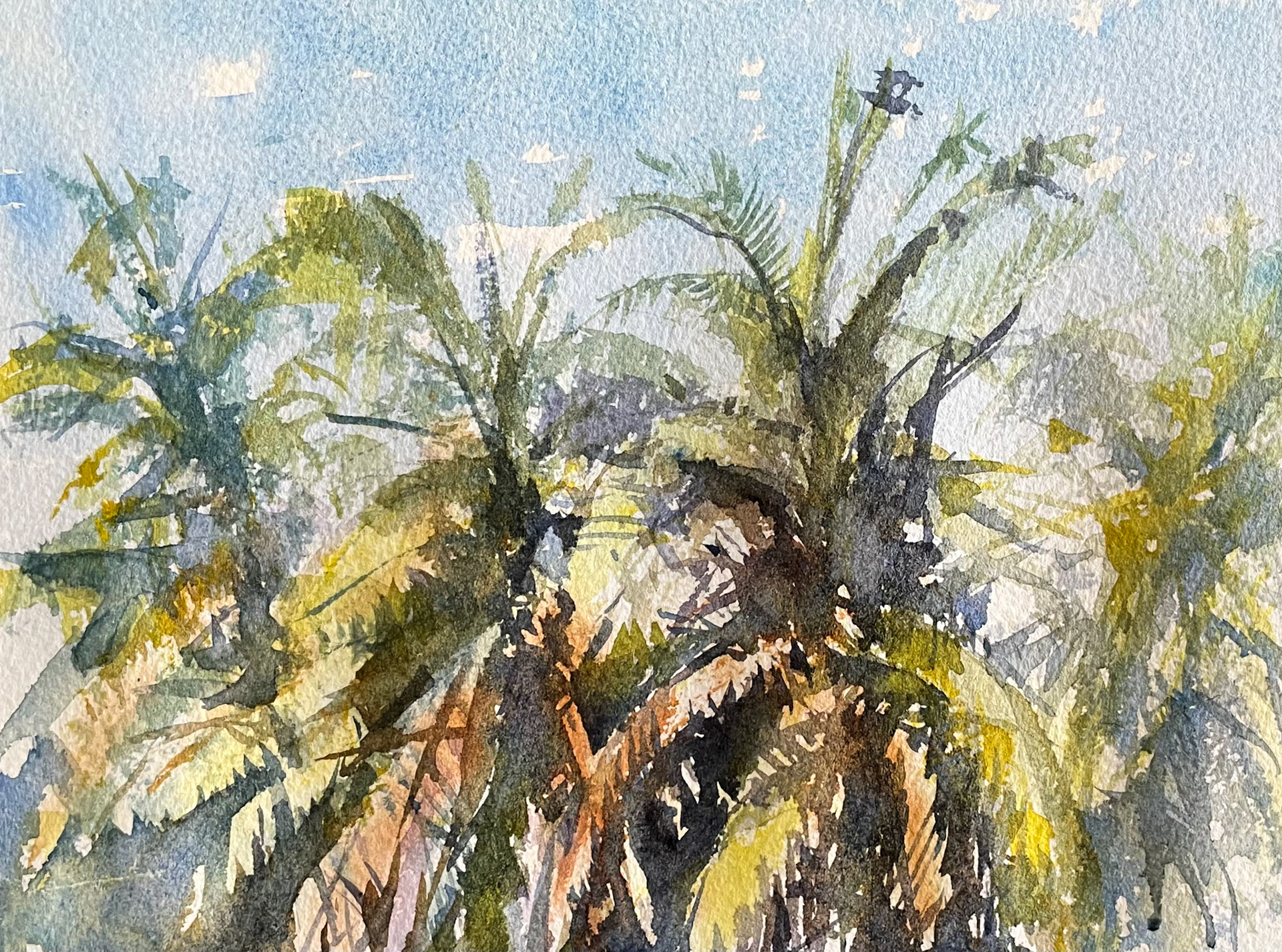 Key Largo Afternoon