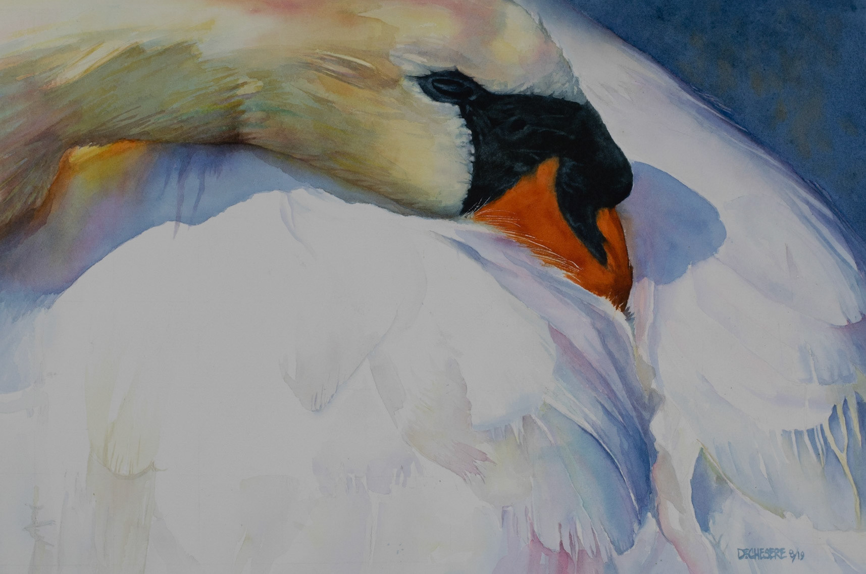 Morning Nap - Watercolor