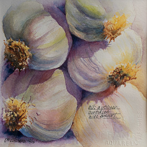 Garlic - Watercolor