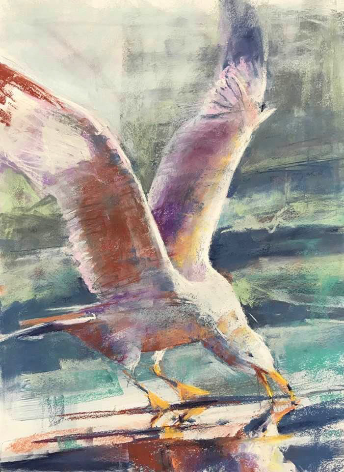 Sea Gull • Pastel 16x21 Image $250