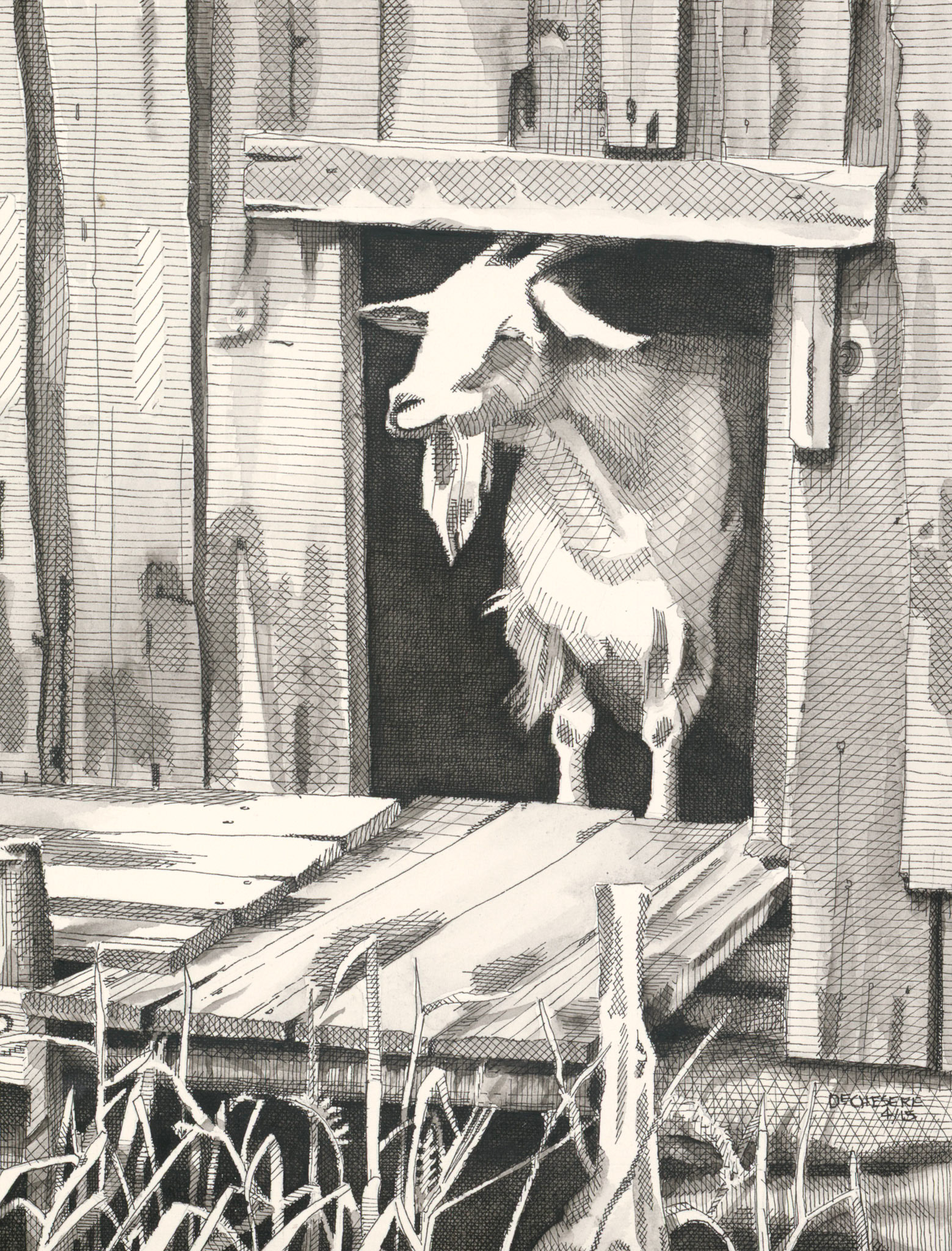 Baah! Another Gray Day