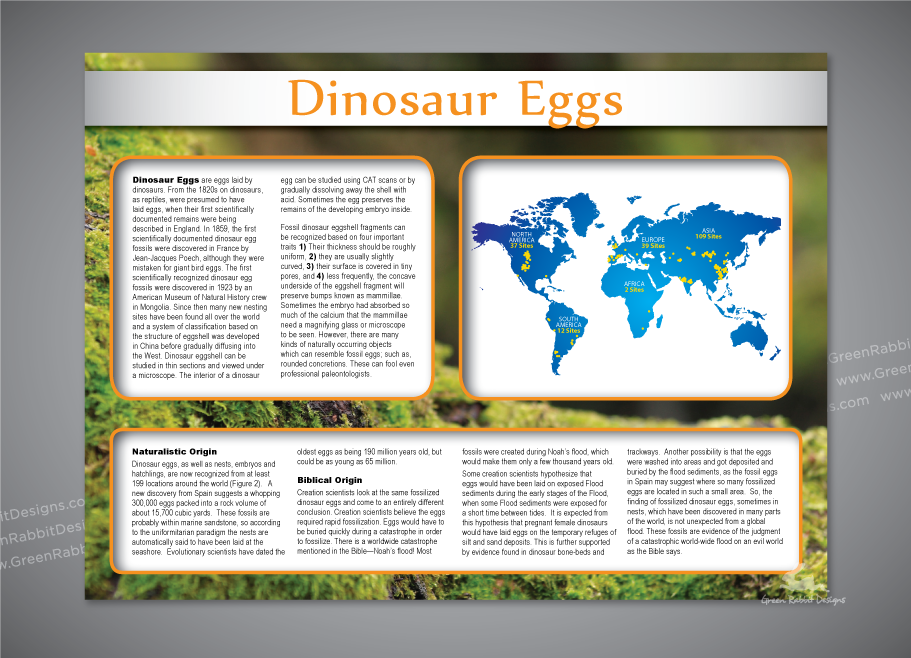 Informational Sign for Exhibit