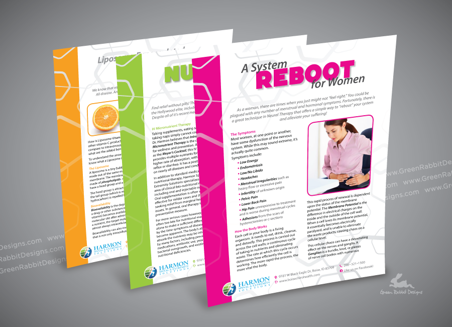 Informational Flyers for Products/Services