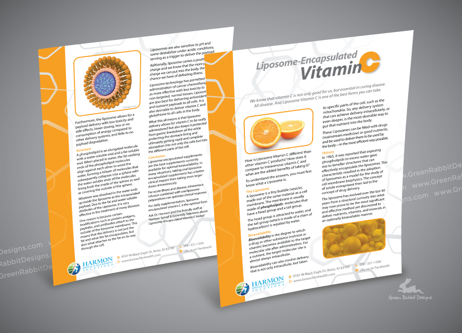 Health Info Flyers for Chiropractor