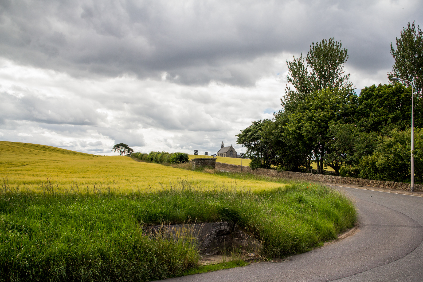 Boarhills, July 2017