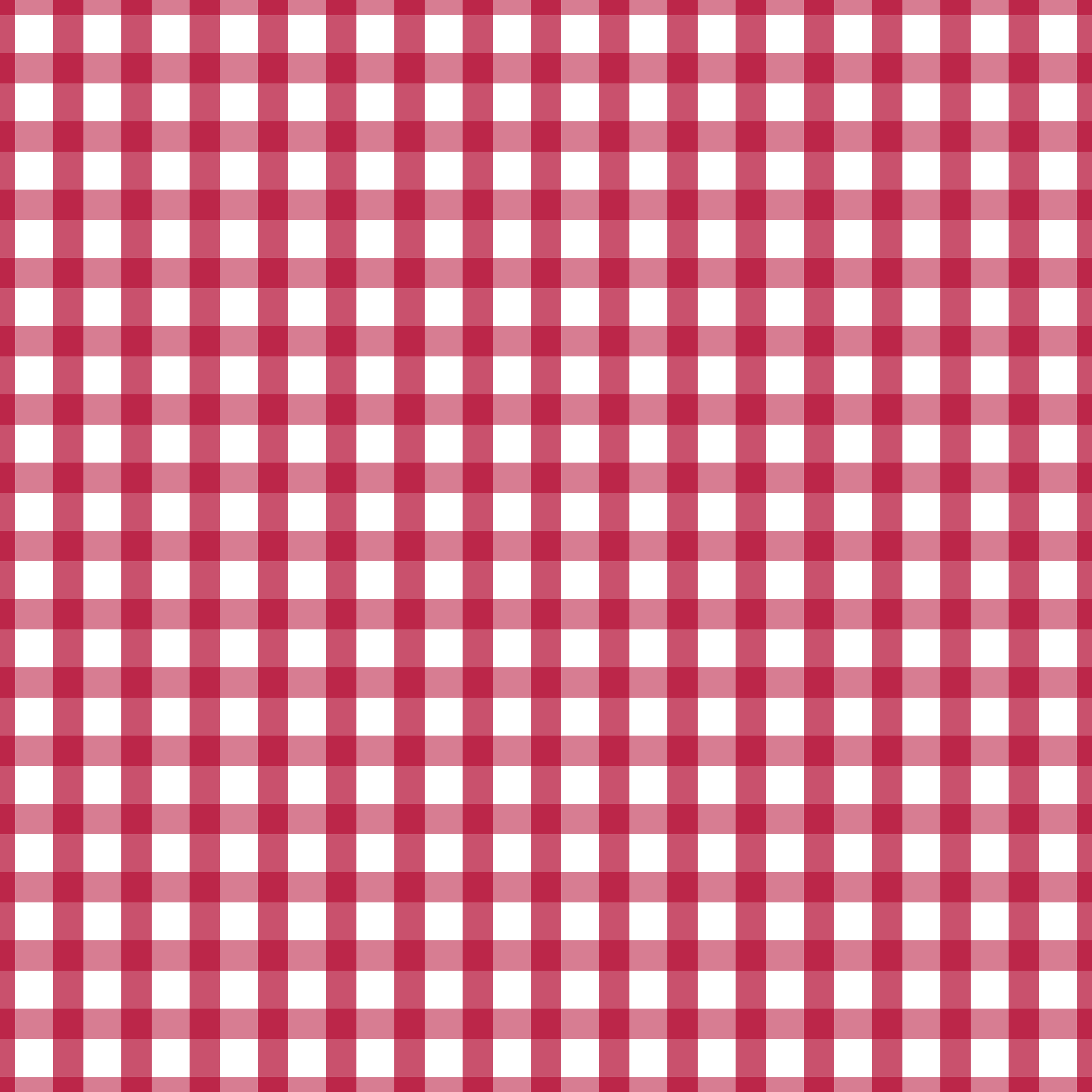 CRD00068 Viva Magenta Gingham Plaid Pattern by Claudia Roberts | CR Pattern Designs © All Rights Reserved