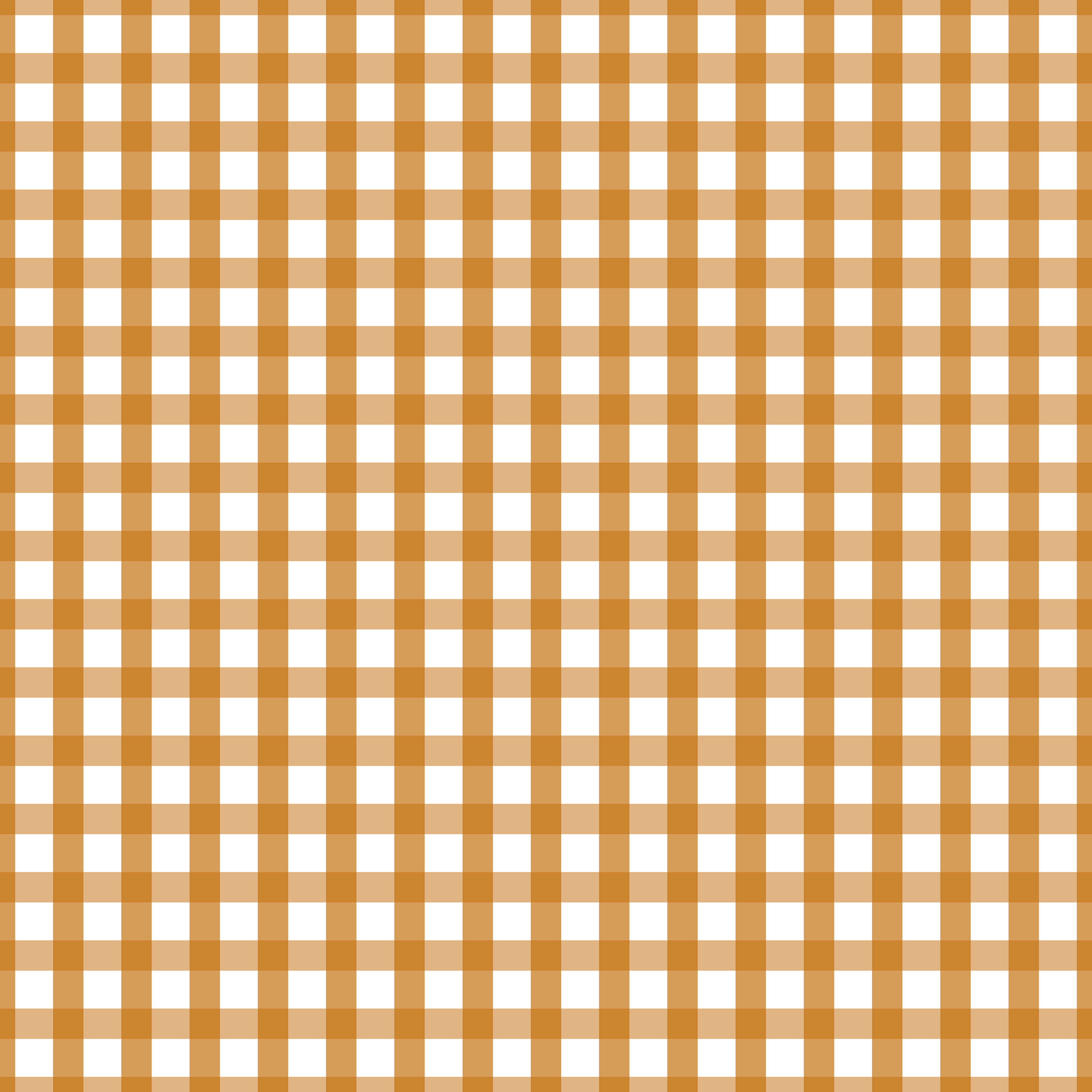 CRD00072 Sundial Gingham Plaid Pattern by Claudia Roberts | CR Pattern Designs © All Rights Reserved