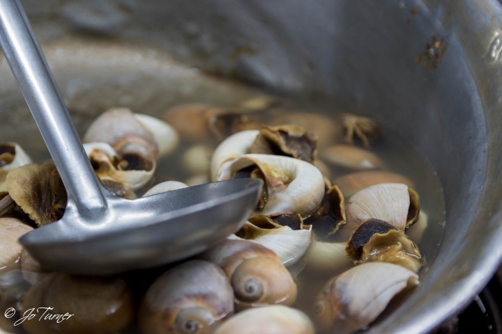 Fresh sea snails