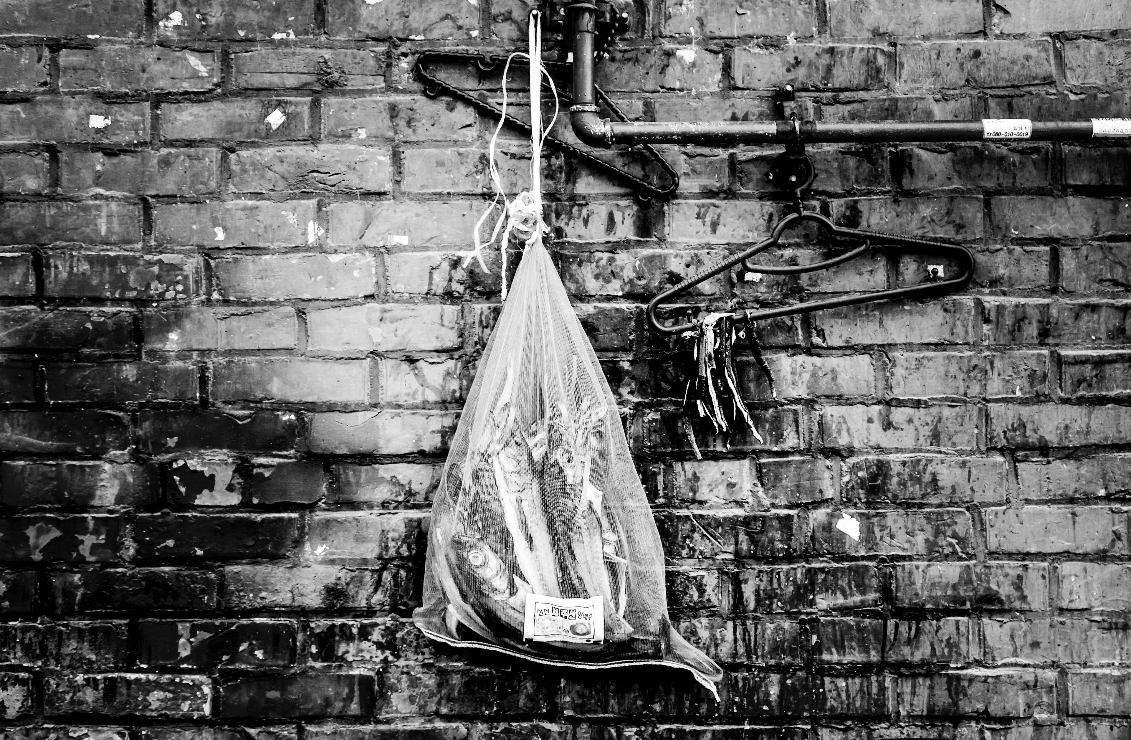 Ikseon-dong Hanok Village - fish drying in the sun