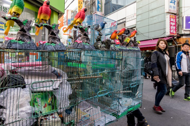 Chinatown near Konkuk University in Seoul