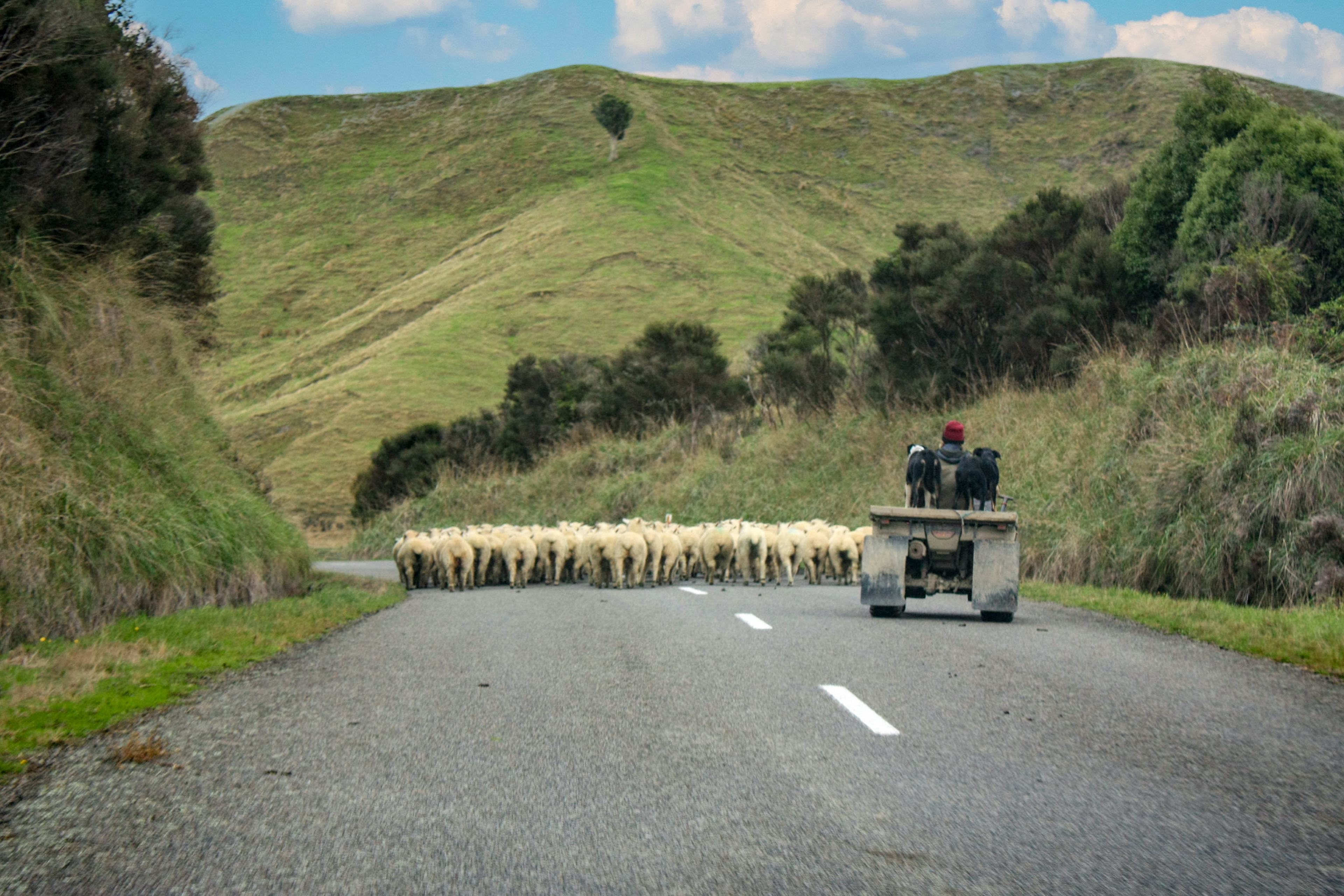 Tararua, New Zealand