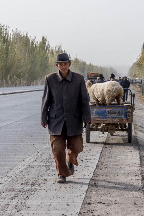 Kashgar Livestock Market