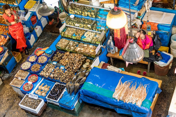 Noryangjin Fish Market -vendors wearing vests with "Together we Fight"
