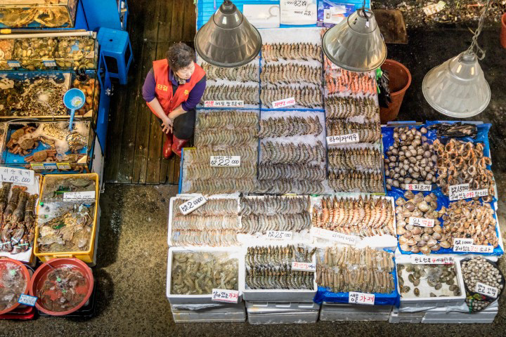 Noryangjin Fish Market -vendor wearing vest with "Together we Fight"