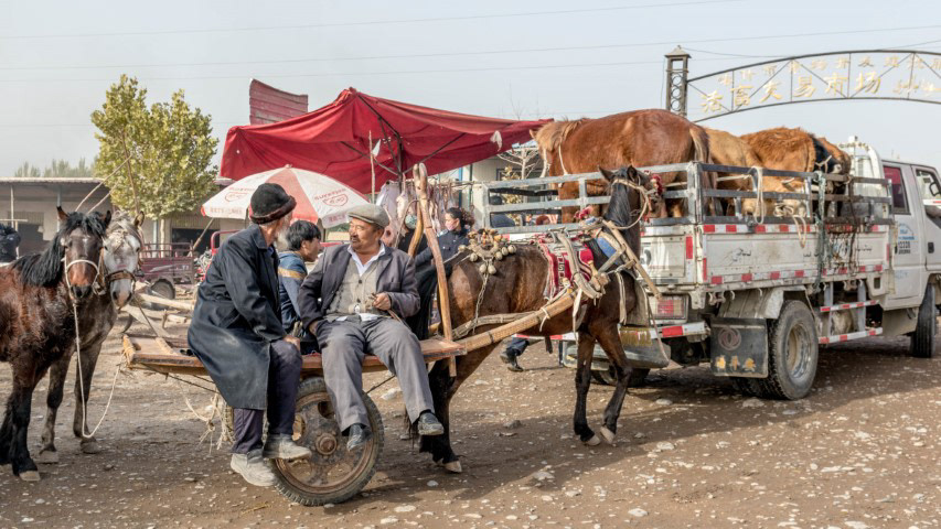 Kashgar Livestock Market