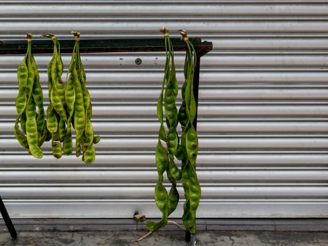 Petai (bitter beans)