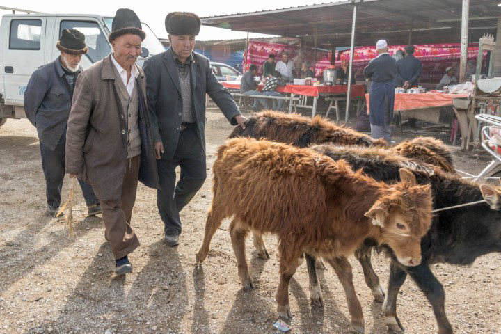 Kashgar Livestock Market