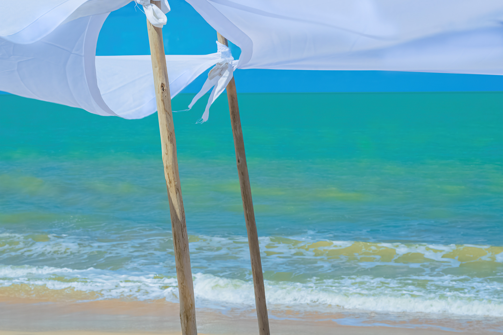 Just the Wind II by Carol Tinoco