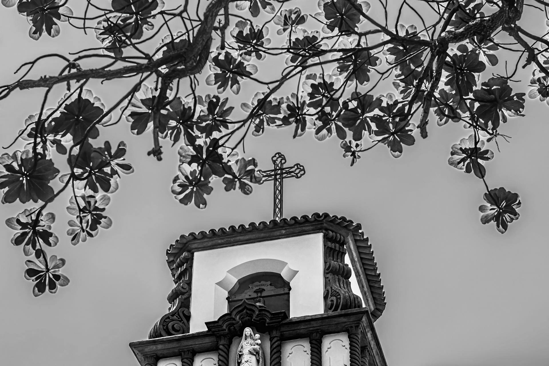 Faith and Nature Connection by Carol Tinoco