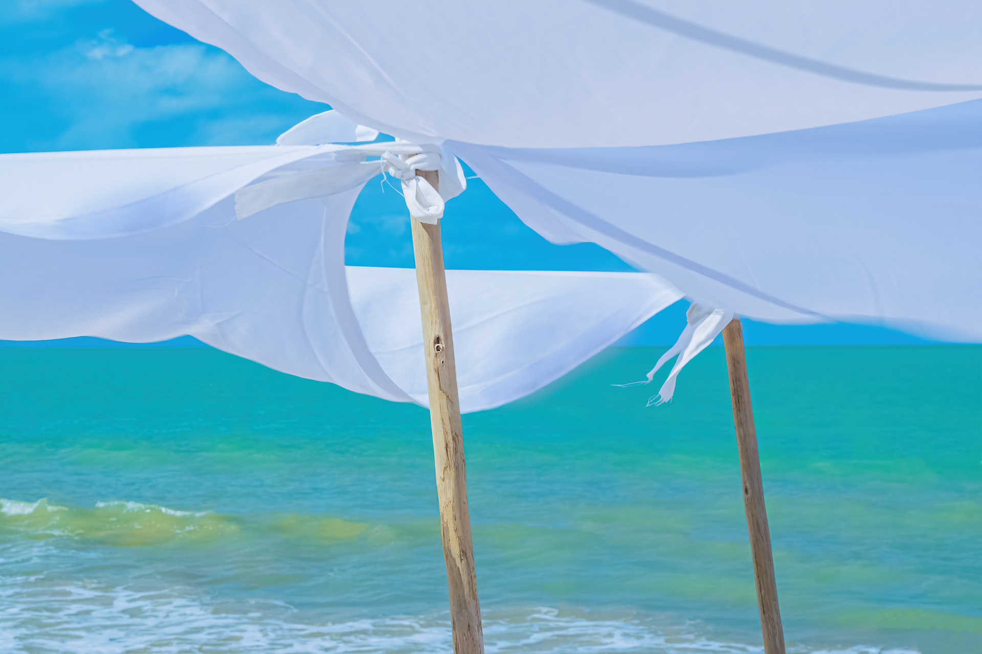 Just the Wind I by Carol Tinoco