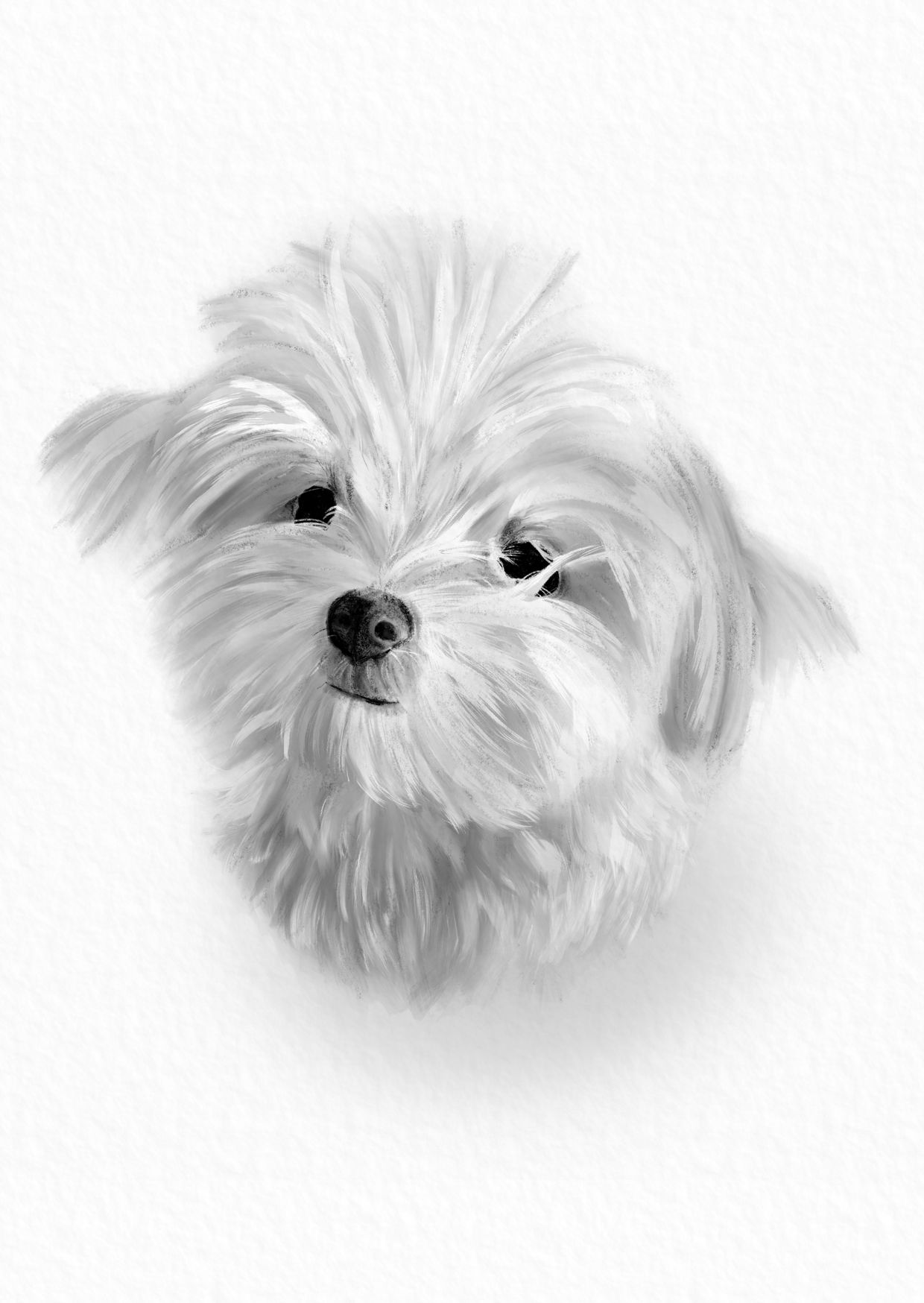 Digital drawing - pencil