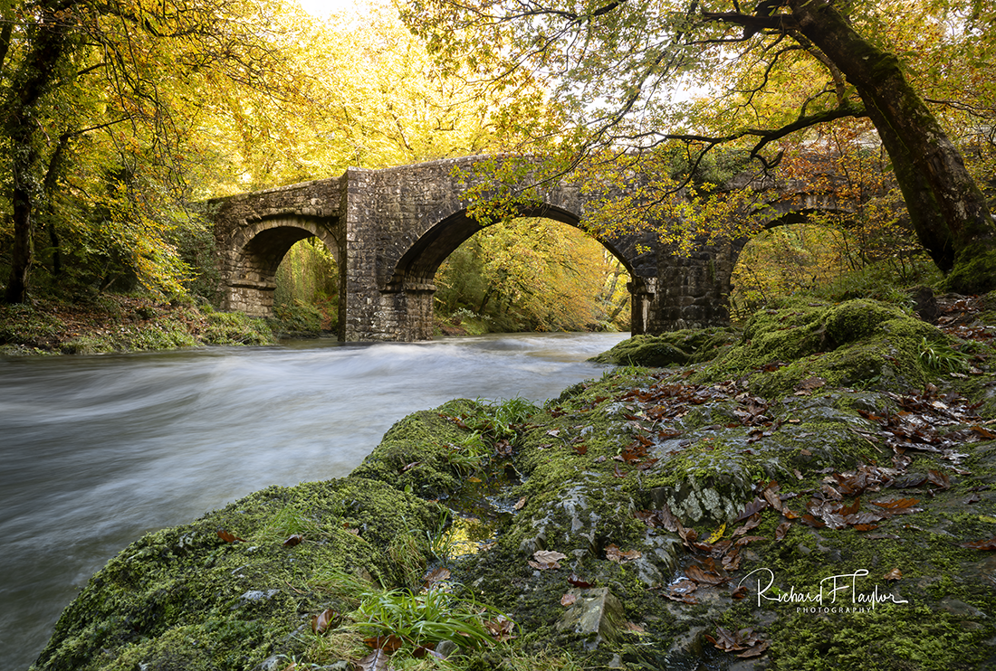 Holne Bridge Autumn
