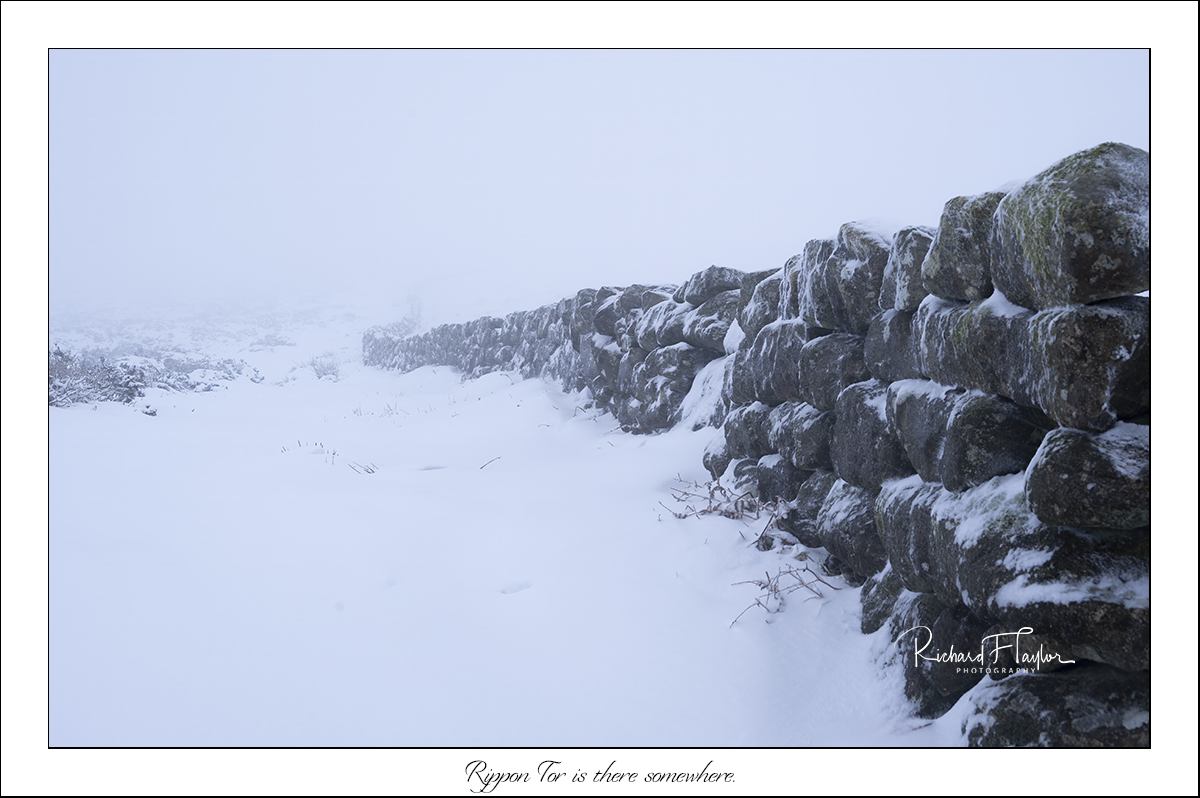 Rippon Tor is there somewhere.