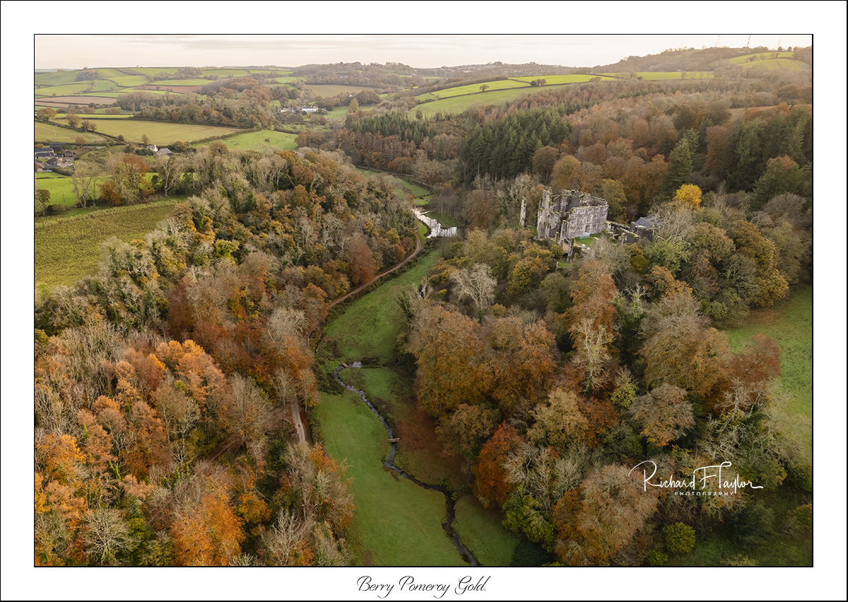 Berry Pomeroy Gold.