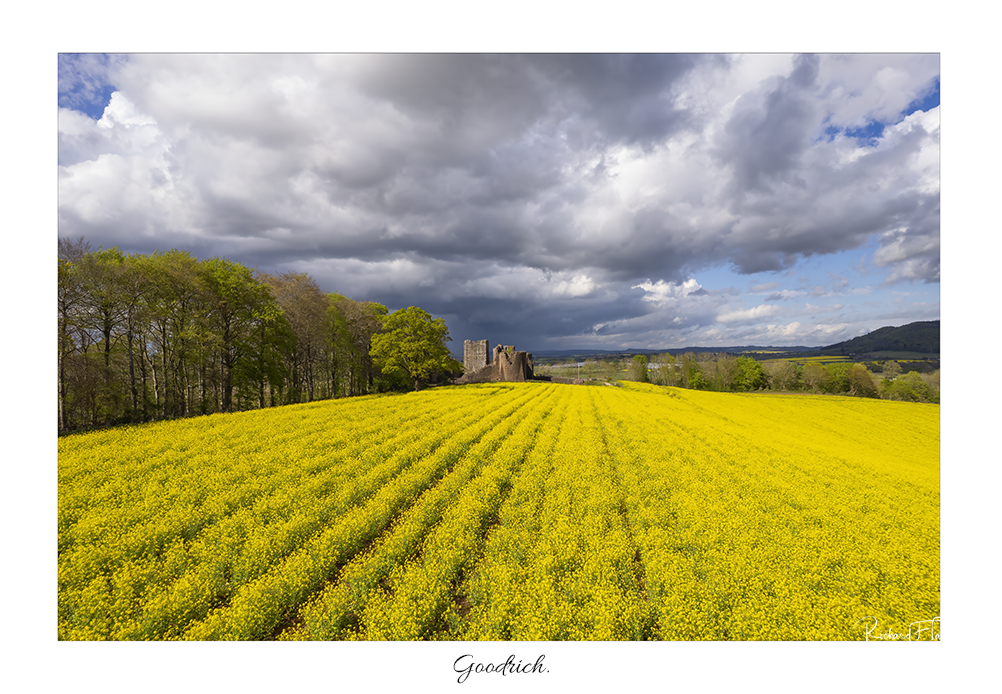 Goodrich.