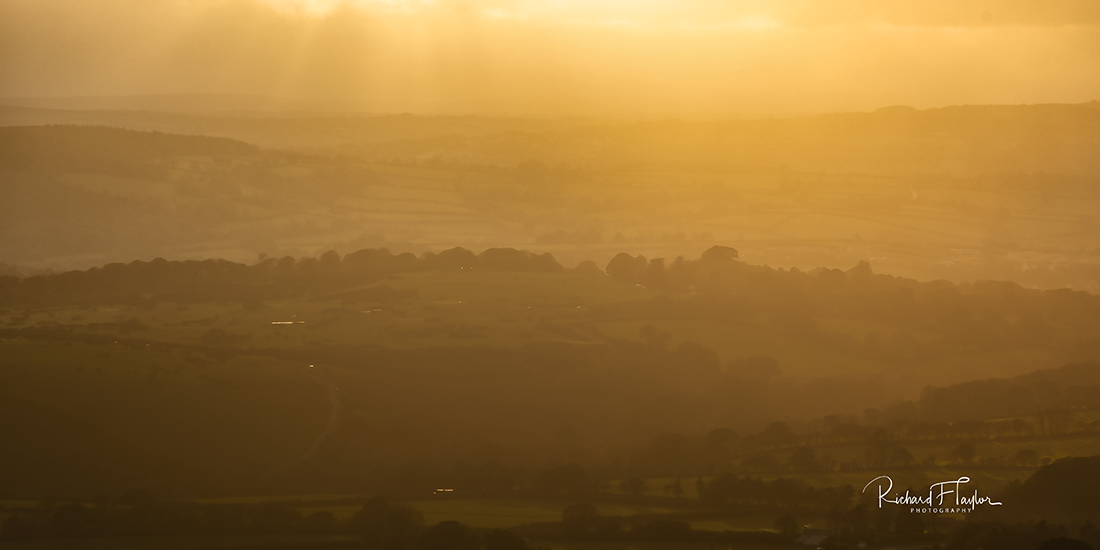 golden moor light