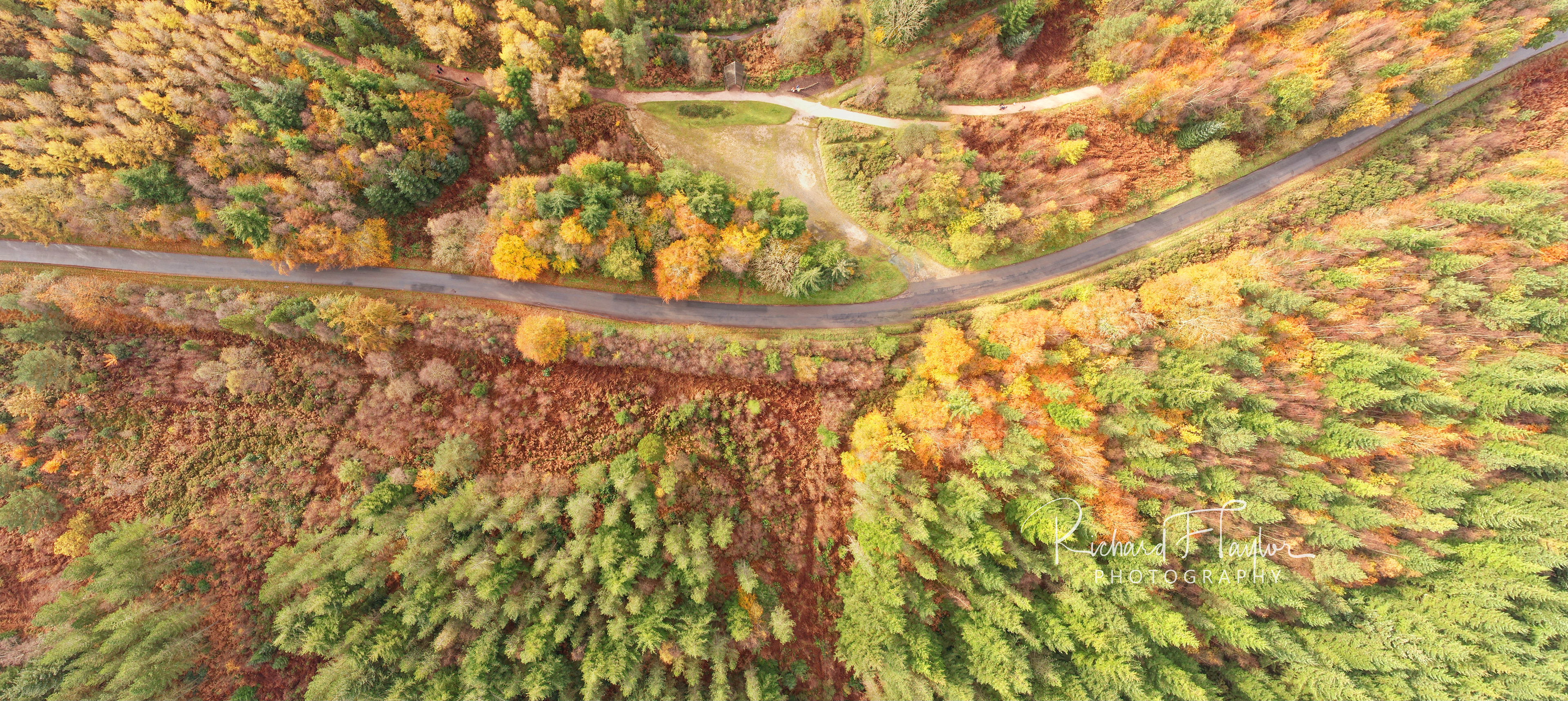 Golden Road