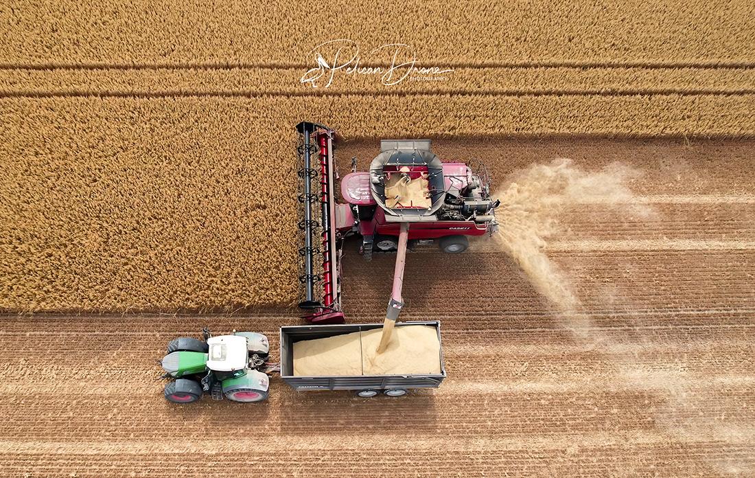 Bringing in the Harvest