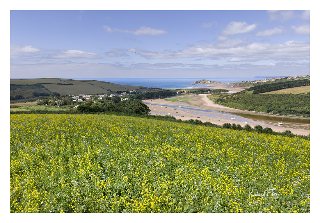 Bantham.