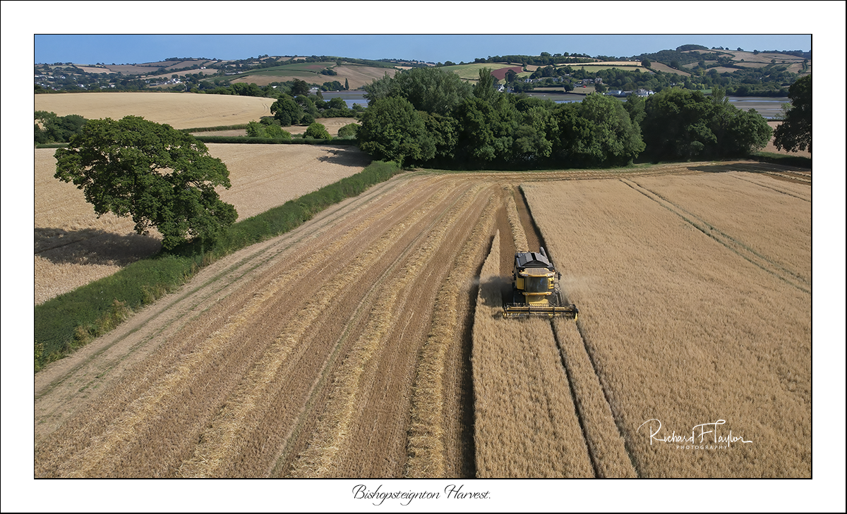 Bishopsteignton Harvest.