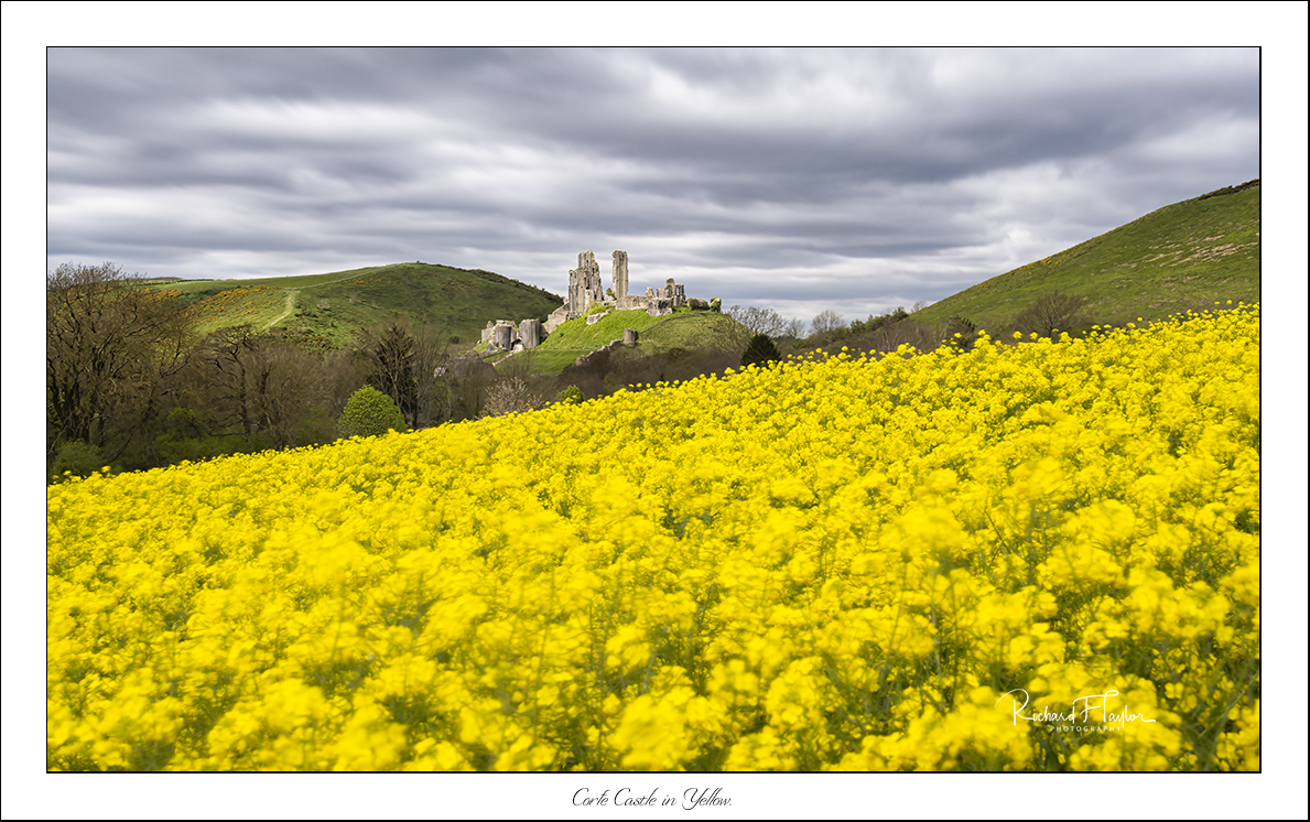 Corfe in Yellow