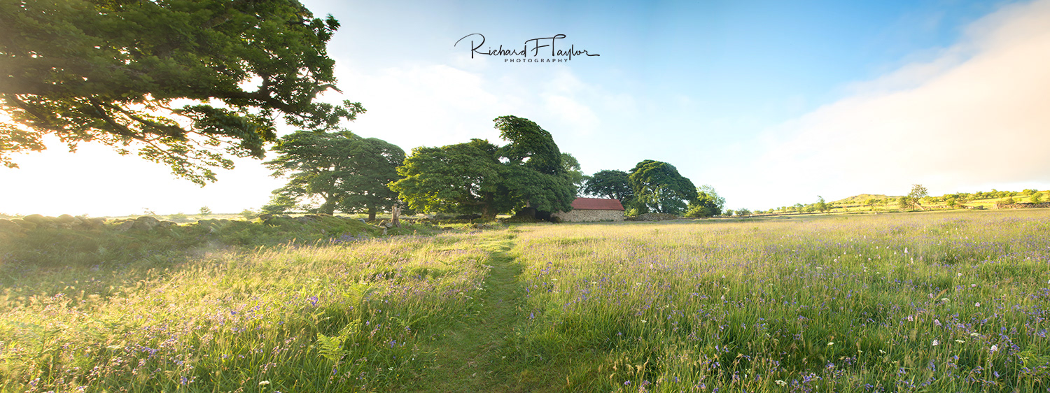 Emsworthy Morning