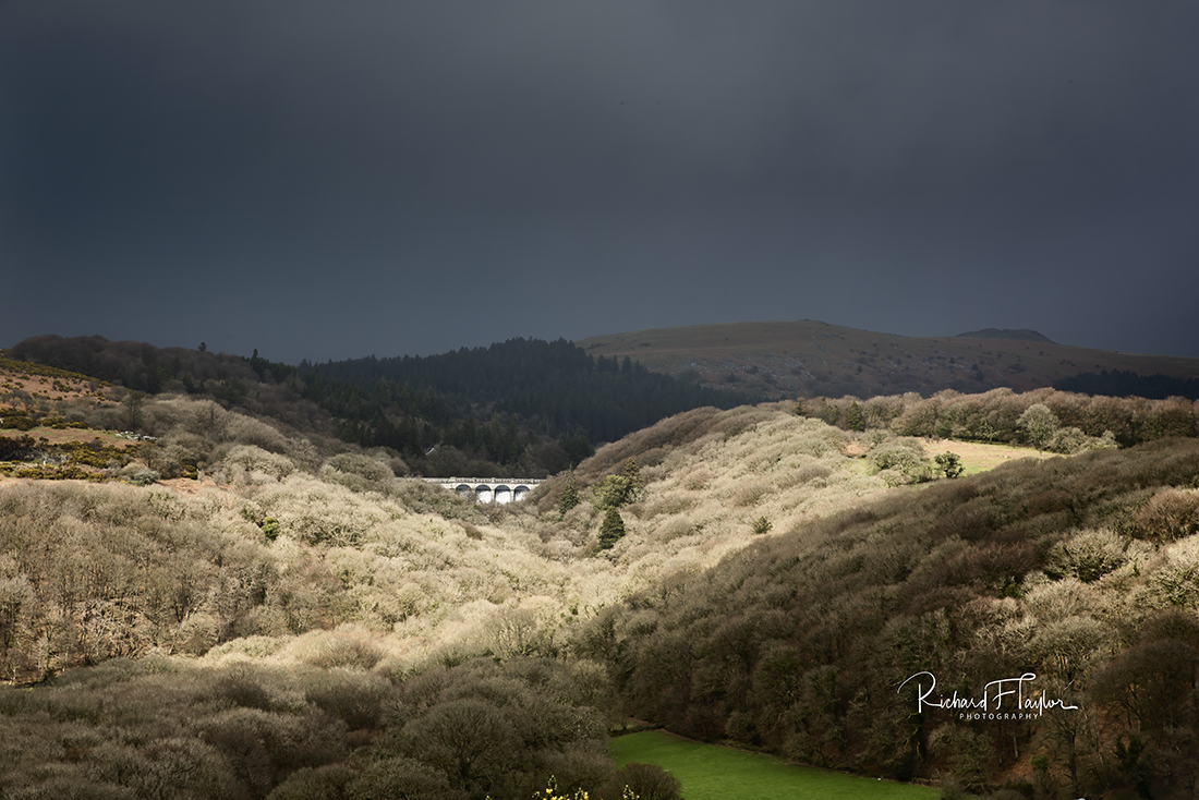 Burrator 