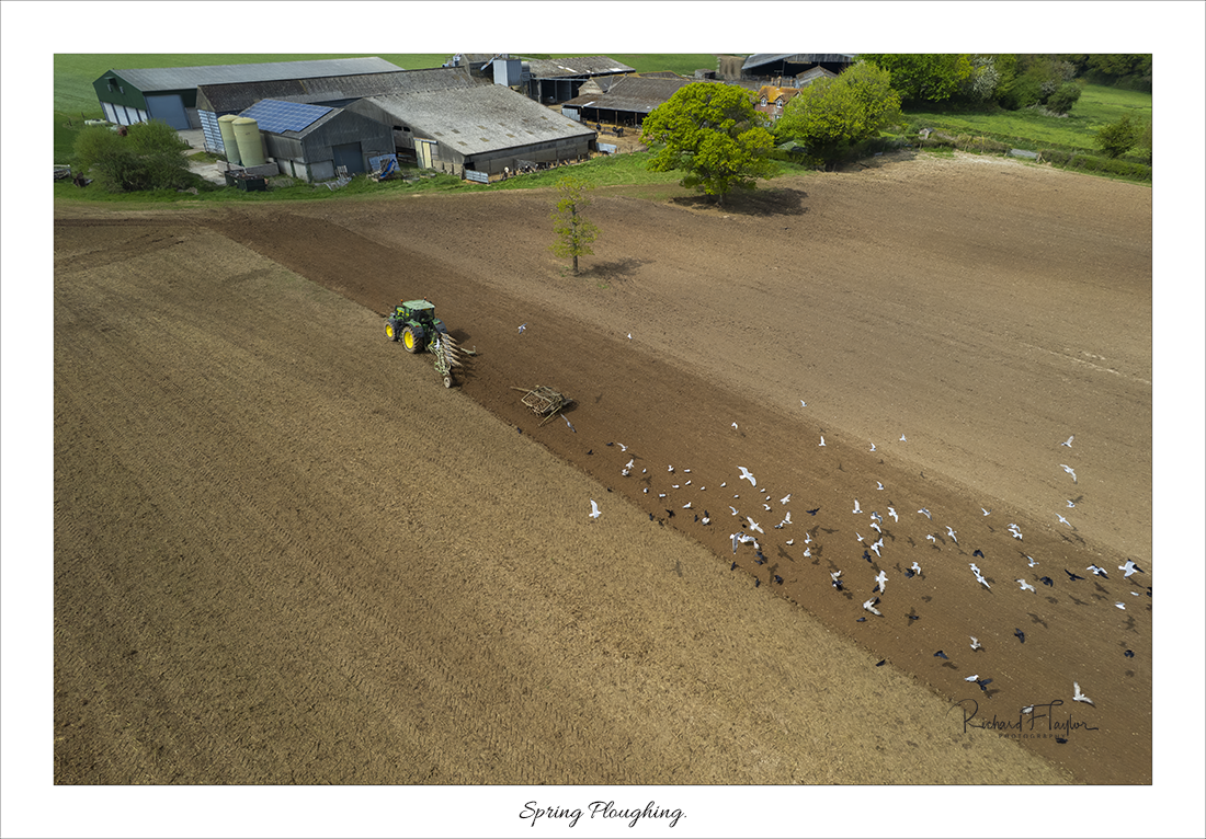 Spring Ploughing.