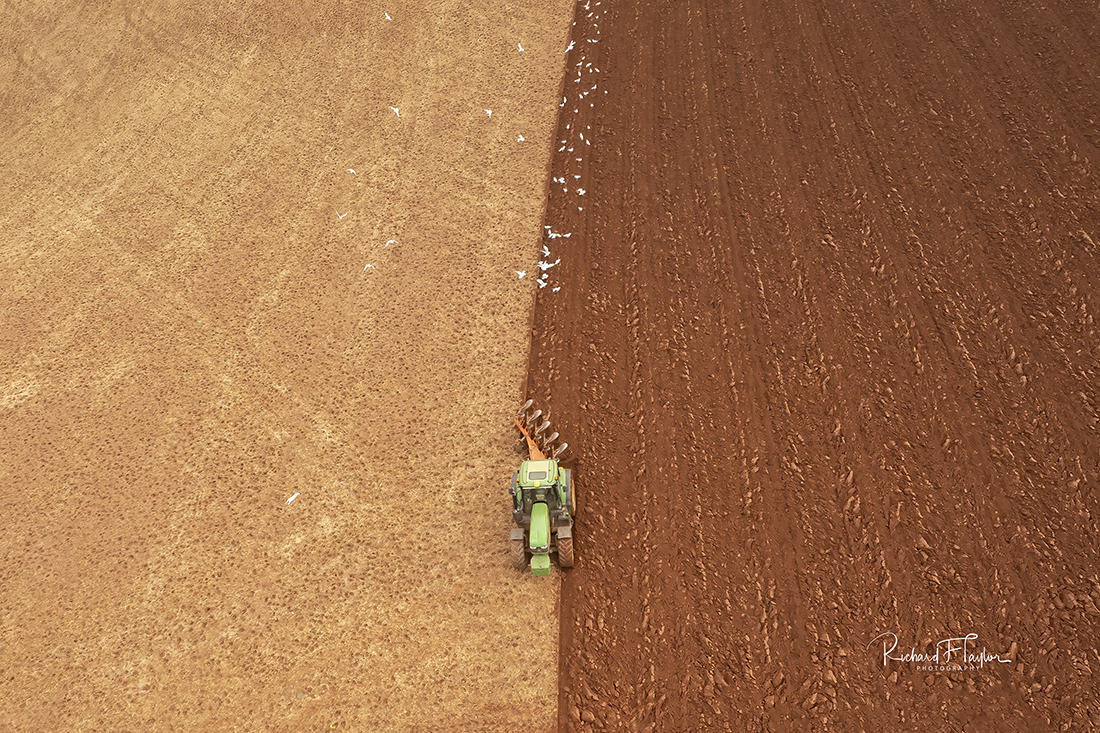 Spring Ploughing