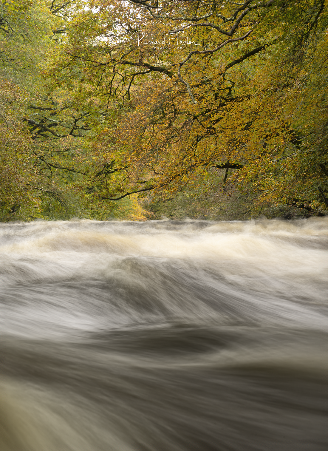 Autumn on the Dart