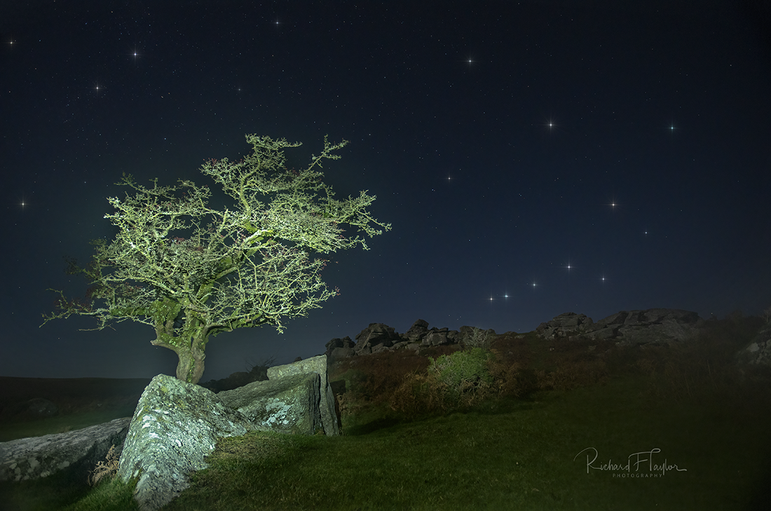 Bonehill Rocks