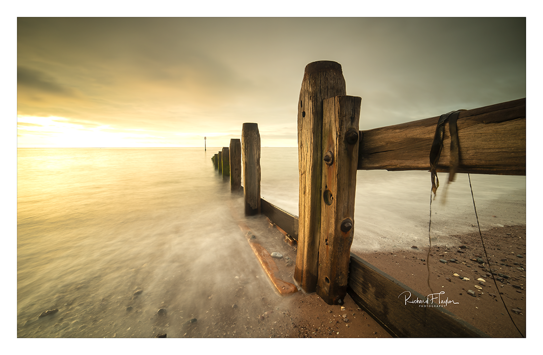 Teignmouth Gold